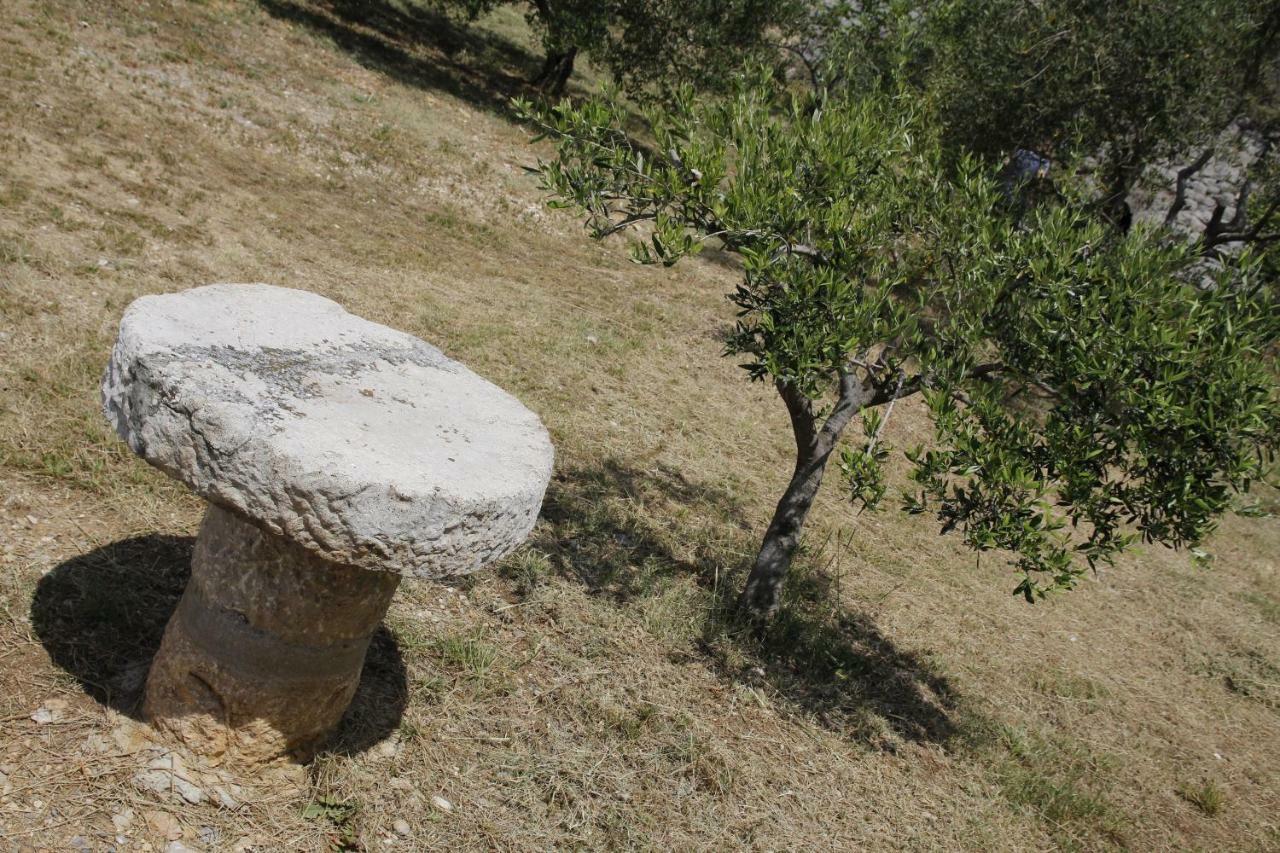 Kuca Za Odmor Jelena Villa Starigrad Paklenica Eksteriør bilde