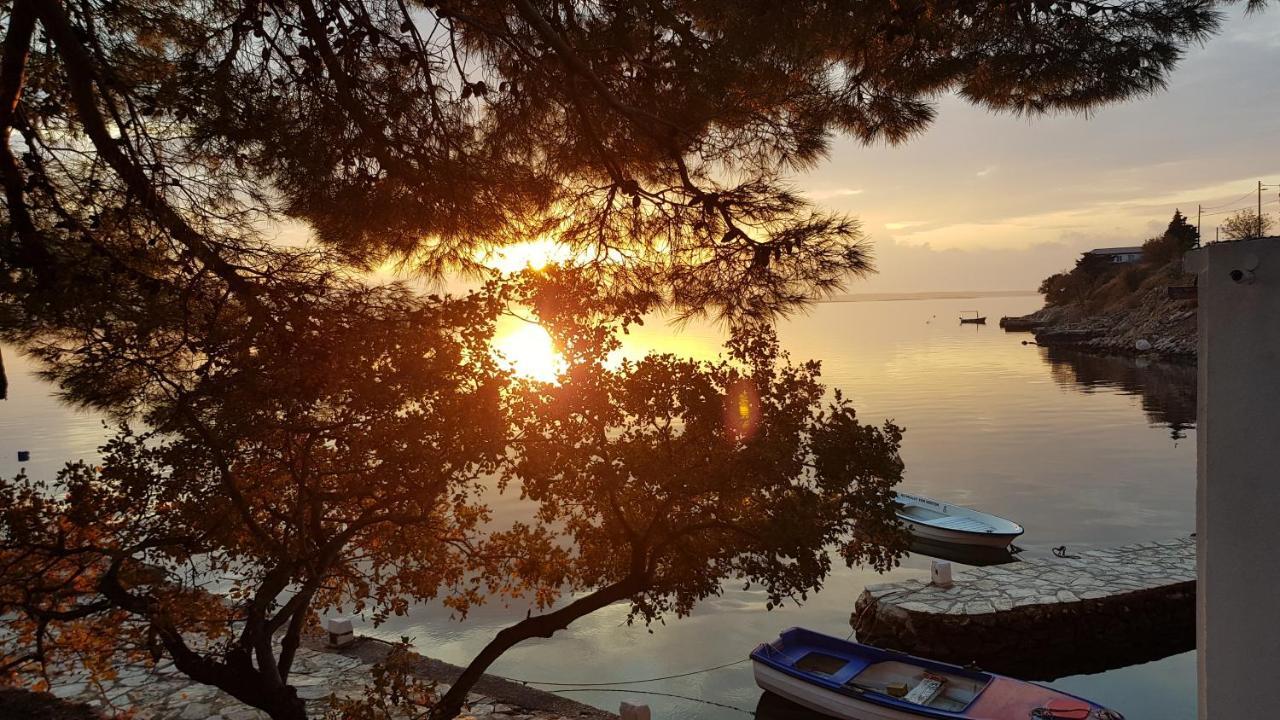 Kuca Za Odmor Jelena Villa Starigrad Paklenica Eksteriør bilde